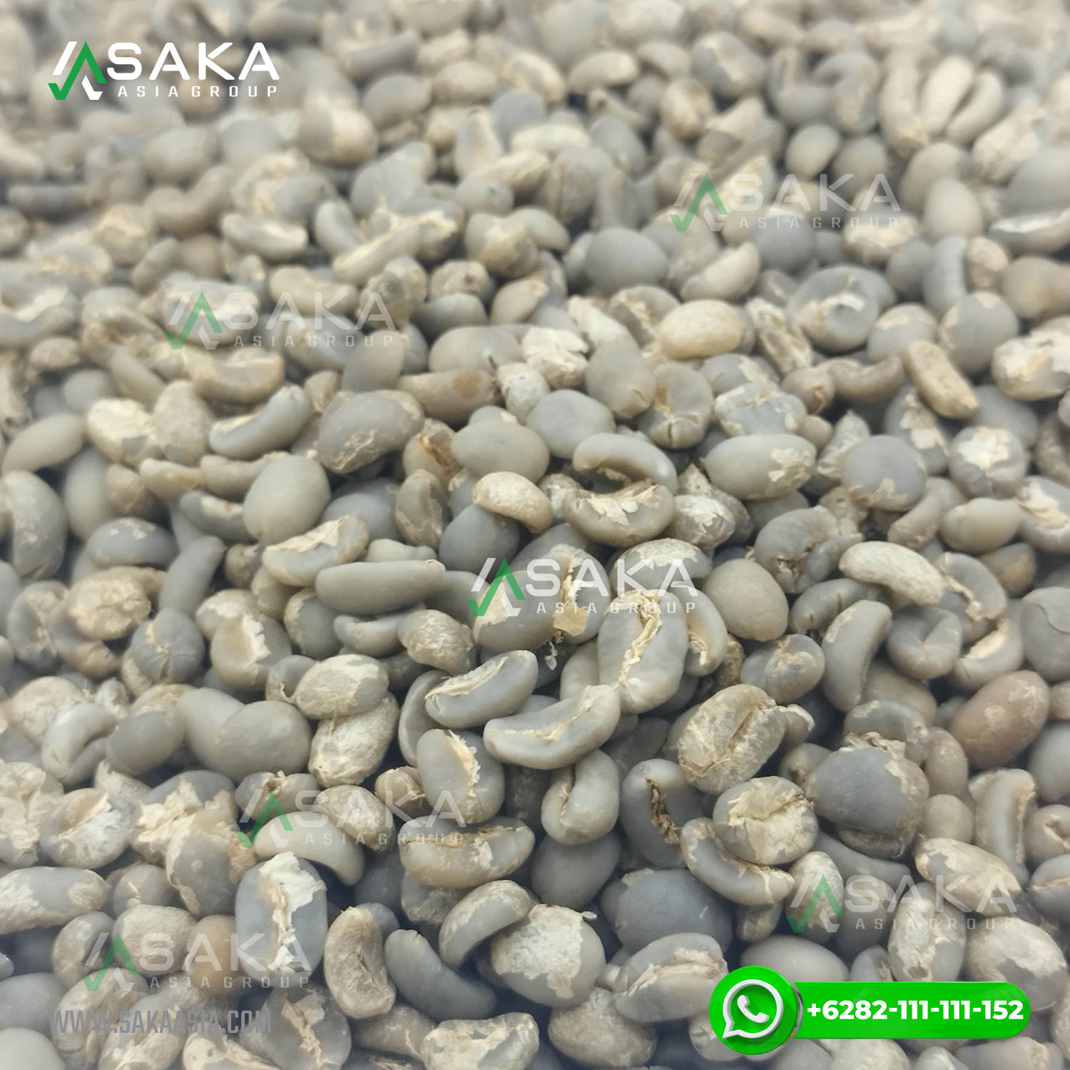 Gayo Arabica Coffee Supplier Gayo Arabica Coffee Supplier