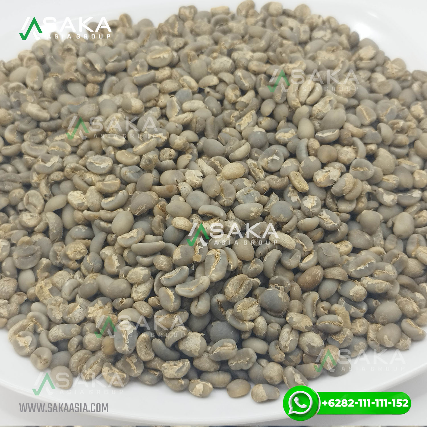 Gayo Arabica Coffee Supplier Gayo Arabica Coffee Supplier